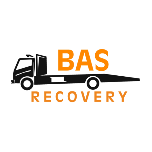 BasRecovery Logo